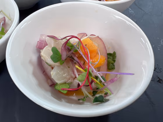 Ceviche de lubina con ají amarillo, cebolla morada y brotes